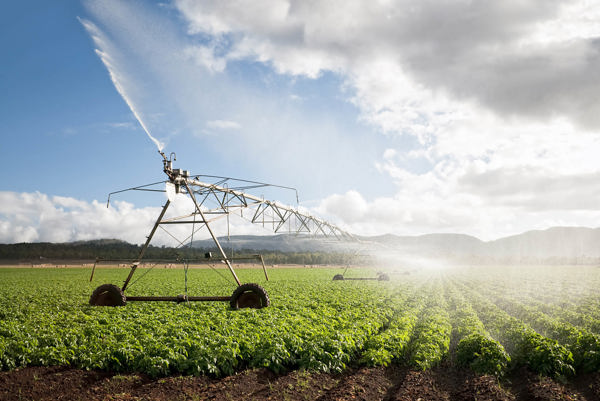 agricultural